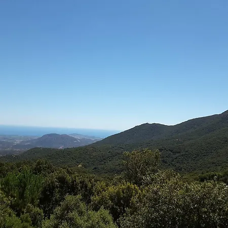 Su Alevraxi Πανσιόν