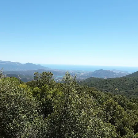 Πανσιόν Su Alevraxi