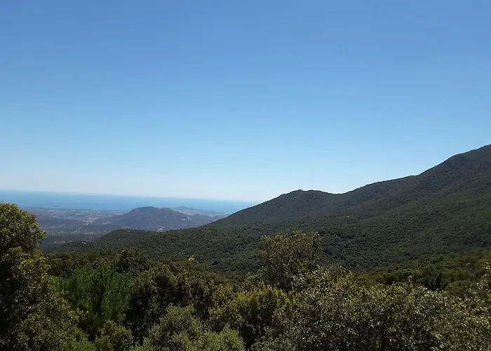 Su Alevraxi Maison d'hôtes